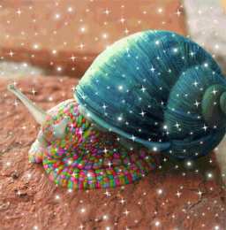 Открытки с улитками  Открытки с улитками скачать бесплатно. Открытки с улитками онлайн.