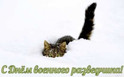 Открытки с днём военного разведчика Открытки с днём военного разведчика скачать бесплатно с поздравлениями.