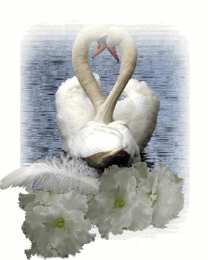 Открытки с лебедями  Открытки с лебедями скачать. Открытки с лебедями бесплатно. 