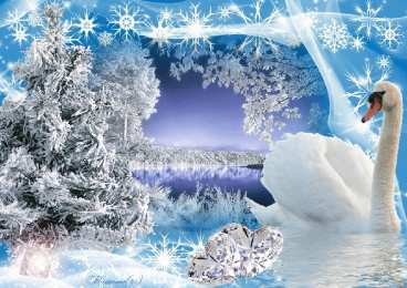 Открытки с лебедями  Открытки с лебедями скачать. Открытки с лебедями бесплатно. 