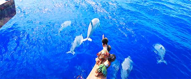 Открытки с Моаной  Открытки с Моаной бесплатно скачать. Открытки с Моаной для детей.