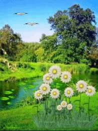 Открытки с летним лесом Открытки с летним лесом бесплатно онлайн. Красивые открытки с лесом.