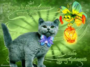 Открытки желаю удачи  Красивые анимационные открытки желаю удачи скачать бесплатно.