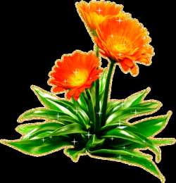 Открытки с календулой  Открытки с календулой скачать бесплатно. Открытки с календулой онлайн.