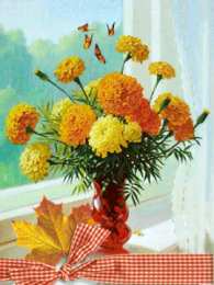 Открытки с бархатцами  Открытки с бархатцами онлайн бесплатно. Открытки с бархатцами скачать.