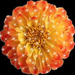 Открытки с георгинами  Открытки с георгинами скачать бесплатно. Открытки с георгинами онлайн.