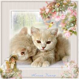 Открытки ко дню кошек Скачать красивые анимационные Открытки ко дню кошек бесплатно.