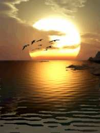 Открытки с океаном Открытки с океаном скачать бесплатно. Открытки с океаном gif.