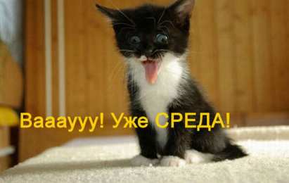 Открытки на среду Открытки на среду скачать. Открытки на среду с пожеланиями бесплатно.