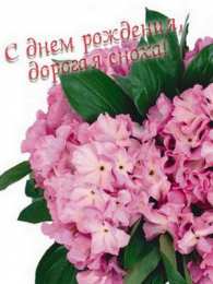 Открытки с днём рождения снохе Открытки с днём рождения снохе. Открытки с днём рождения невестке.