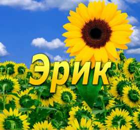 Открытки с именем Эрик Открытки с именем Эрик скачать бесплатно. С днём рождения Эрик открытки.