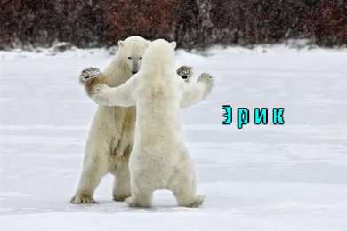 Открытки с именем Эрик Открытки с именем Эрик скачать бесплатно. С днём рождения Эрик открытки.