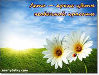 Открытки со стихами о лете Открытки со стихами о лете скачать бесплатно с анимациями.   