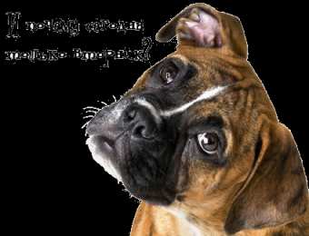 Открытки на вторник Открытки на вторник скачать. Открытки на вторник бесплатно онлайн.