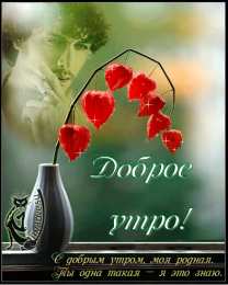 Открытки с добрым утром Открытки поздравления с добрым утром 