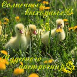 Открытки хорошего дня Открытки с пожеланиями хорошего дня. Скачать открытки хорошего дня.