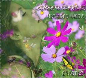 Открытки с космеями  Открытки с космеями анимационные. Открытки с космеями gif.  