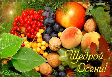 Открытки осень Открытки осень скачать бесплатно. Красивые открытки осень gif.