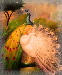 Открытки с павлинами Открытки с павлинами скачать бесплатно. Открытки с павлинами gif.