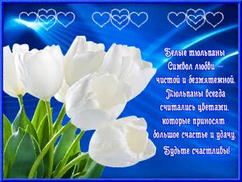 Открытки с белыми тюльпанами Открытки с белыми тюльпанами gif. Открытки с белыми тюльпанами скачать.