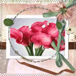 Открытки с каллами Открытки с каллами скачать бесплатно. Открытки с каллами онлайн.