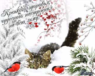 Открытки крепкого здоровья Красивые анимационные Открытки крепкого здоровья скачать бесплатно.