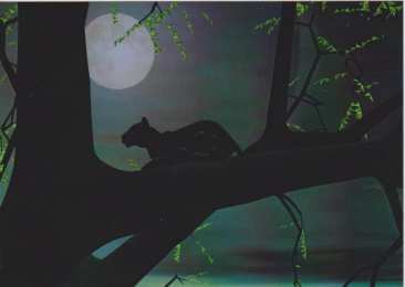 Открытки с пантерой Открытки с пантерой скачать бесплатно. Открытки с пантерой gif.