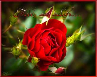 Открытки с любовью  Открытки с признаниями в любви.  Лучшие открытки с любовью.