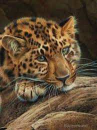 Открытки с леопардом Открытки с леопардом скачать. Открытки с леопардом бесплатно.