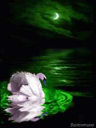 Открытки с лебедями  Открытки с лебедями скачать. Открытки с лебедями бесплатно. 