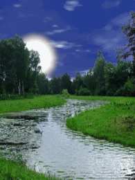 Открытки с ручьями  Открытки с ручьями с анимациями. Красивые открытки с ручьями.