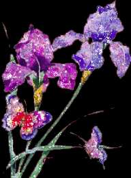 Открытки с ирисами  Открытки с ирисами скачать. Открытки с ирисами бесплатно онлайн.