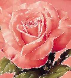 Открытки с розовыми розами Чудесные открытки с розовыми розами скачать бесплатно gif.