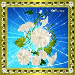 Открытки с вьюнками  Открытки с вьюнками анимационные. Открытки с вьюнками онлайн.