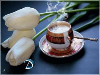 Открытки с белыми тюльпанами Открытки с белыми тюльпанами gif. Открытки с белыми тюльпанами скачать.