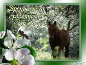 Открытки с субботой Открытки с субботой с пожеланиями. Скачать открытки с субботой.