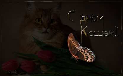 Открытки ко дню кошек Скачать красивые анимационные Открытки ко дню кошек бесплатно.