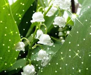 Открытки с ландышами  Открытки с ландышами скачать. Открытки с ландышами онлайн бесплатно.