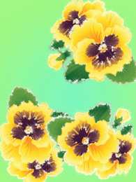 Открытки с разноцветными анютиными глазками  Открытки с разноцветными анютиными глазками скачать бесплатно.