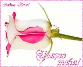 Открытки с поцелуями  Анимационные открытки с поцелуями скачать онлайн бесплатно.