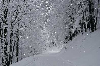 Открытки со снегопадом Открытки со снегопадом скачать. Открытки со снегопадом бесплатно.