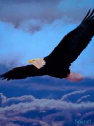 Открытки с орлом Открытки с орлом скачать бесплатно. Открытки с орлом онлайн.