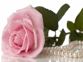 Открытки с розовыми розами Чудесные открытки с розовыми розами скачать бесплатно gif.