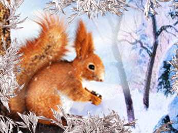 Открытки с белочками  Открытки с белочками gif. Скачать бесплатно открытки с белками.