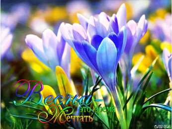 Открытки с крокусами  Открытки с крокусами скачать бесплатно. Открытки с крокусами онлайн.