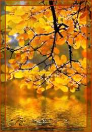 Открытки с осенним лесом Открытки с осенним лесом скачать. Открытки с осенним лесом бесплатно.