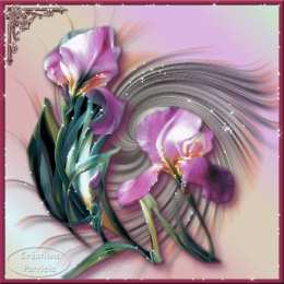 Открытки с ирисами  Открытки с ирисами скачать. Открытки с ирисами бесплатно онлайн.