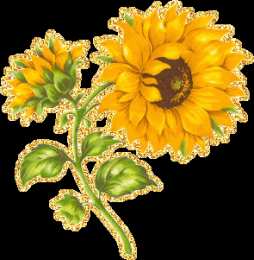 Открытки с подсолнухами Открытки с подсолнухами скачать бесплатно. Открытки с подсолнухами gif.