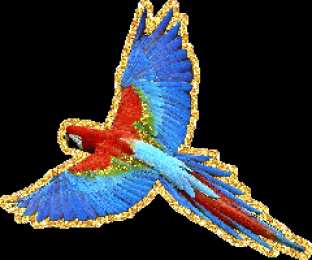 Открытки с попугаями  Открытки с попугаями скачать. Открытки с попугаями бесплатно.