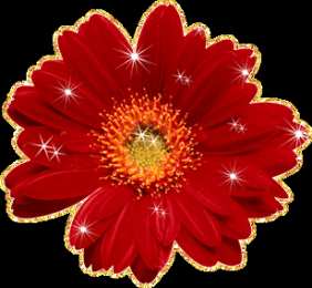 Открытки с герберами  Открытки с герберами скачать бесплатно. Открытки с герберами gif.